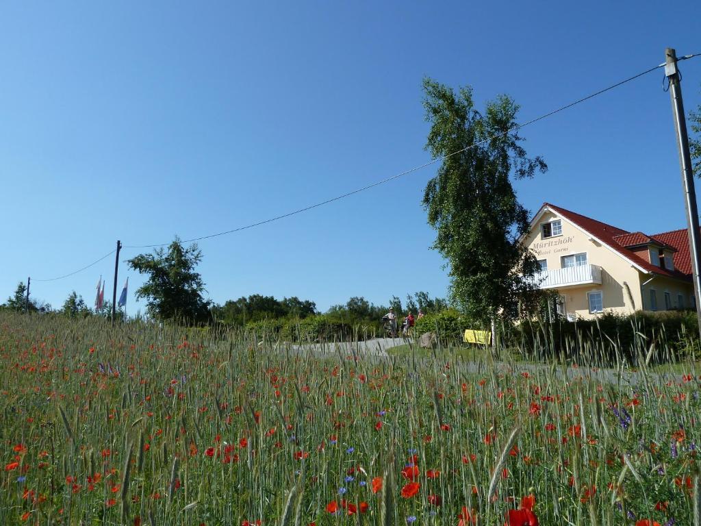 Müritzhöh Rechlin Exterior foto